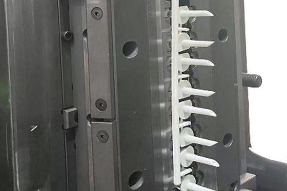 STEP Ιατρικό πλαστικό μούχλα ένεσης εξατομικευμένο