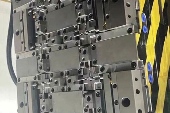 STEP Ιατρικό πλαστικό μούχλα ένεσης εξατομικευμένο